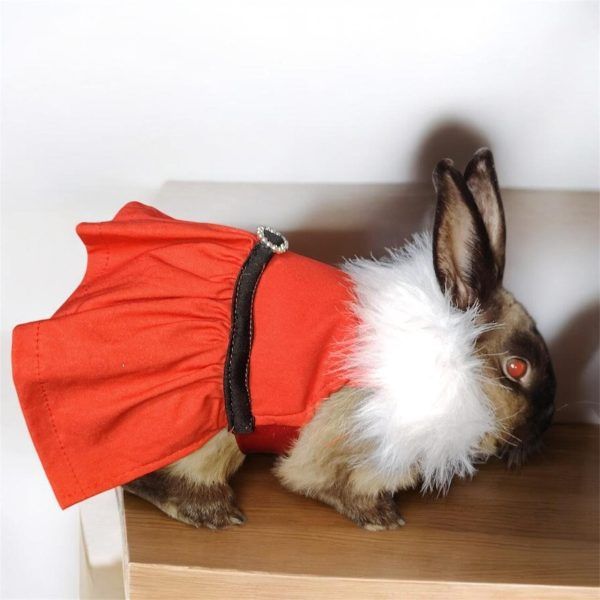 558676179_122174378882534131_4546339962515373232_n (1)