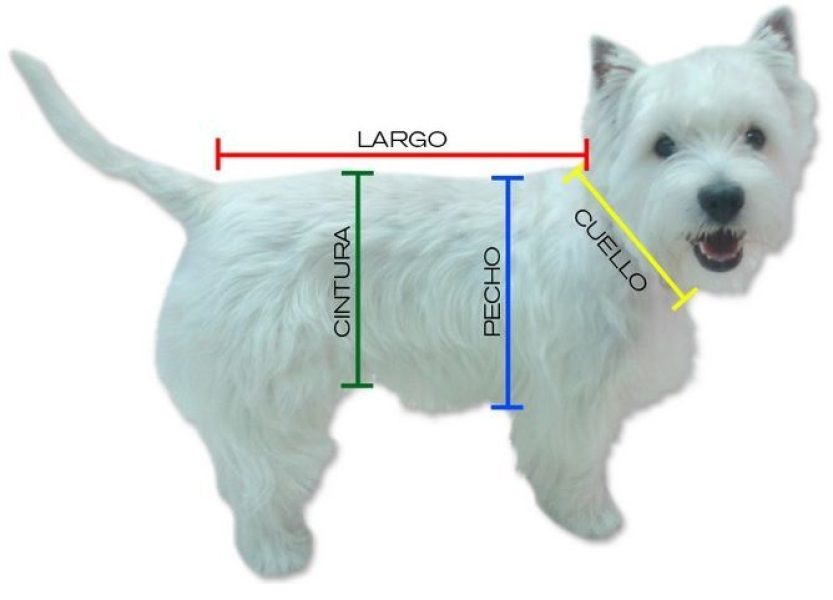 WhatsApp Image 2025-10-29 at 11.28.55 AM (1)